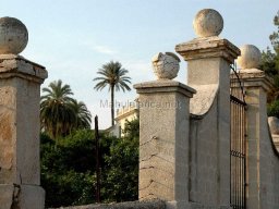 Mula Antigua serie-2